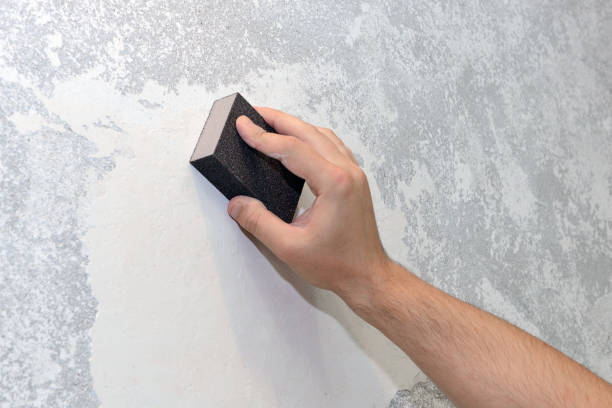 Best Forensic Mold Investigation  in Roseland, OH