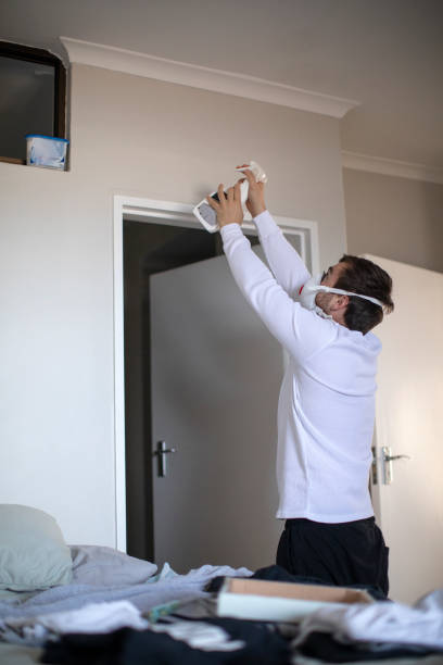 Best Environmental Consulting for Mold Prevention  in Roseland, OH