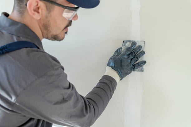 Best Basement Mold Removal  in Roseland, OH