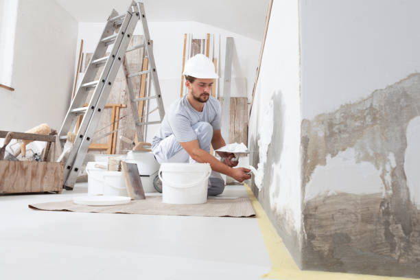Reliable Roseland, OH Mold Removal Solutions