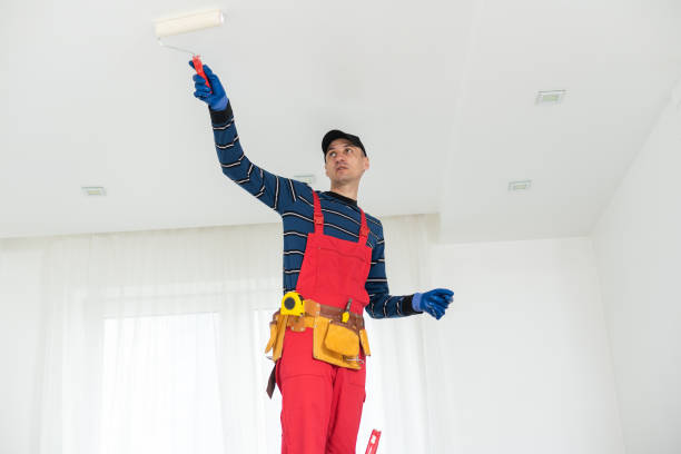 Best Crawl Space Mold Remediation  in Roseland, OH