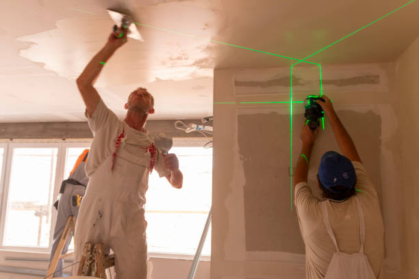 Forensic Mold Investigation in Roseland, OH
