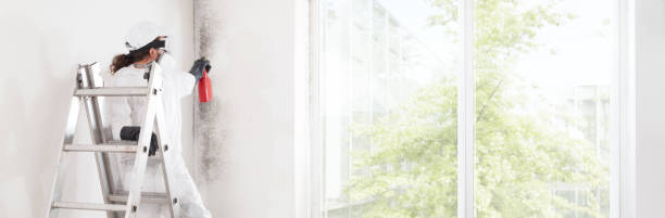 Best Mold Documentation for Insurance Claims  in Roseland, OH