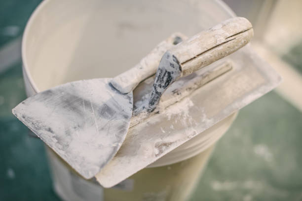 Best Attic Mold Removal  in Roseland, OH